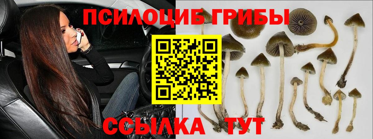 Галлюциногенные грибы мицелий Салават