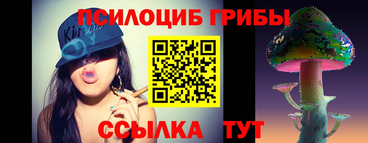 Псилоцибиновые грибы мухоморы  купить наркотики сайты  Салават  Вход с VPN 